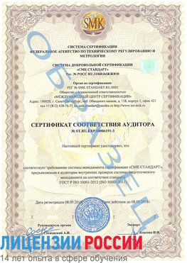 Образец сертификата соответствия аудитора №ST.RU.EXP.00006191-3 Топки Сертификат ISO 50001